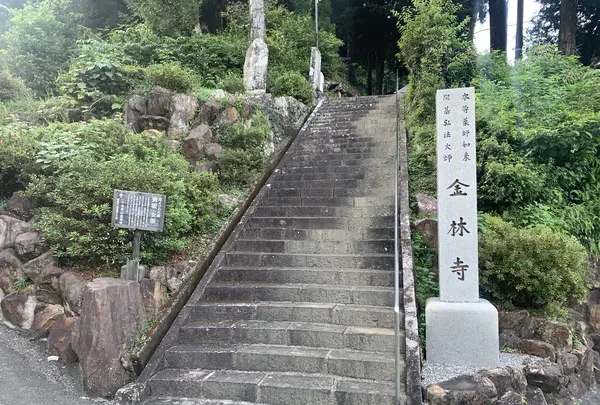 金林寺(馬路薬師堂)の写真・動画_image_478821