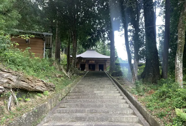 金林寺(馬路薬師堂)の写真・動画_image_478838