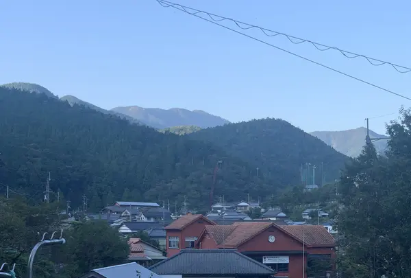 金林寺(馬路薬師堂)の写真・動画_image_478847