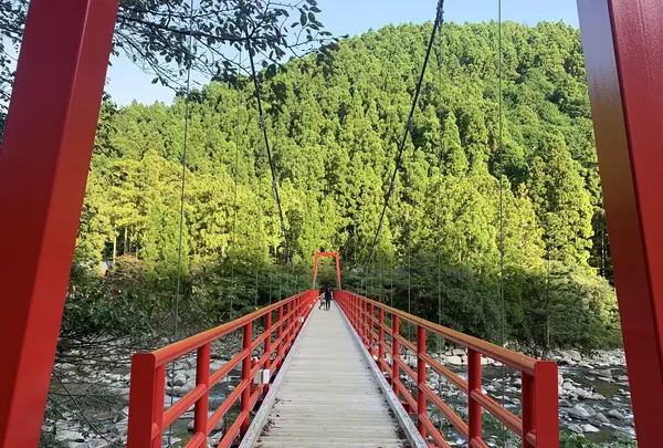 安田川アユおどる清流キャンプ場の写真・動画_image_478852