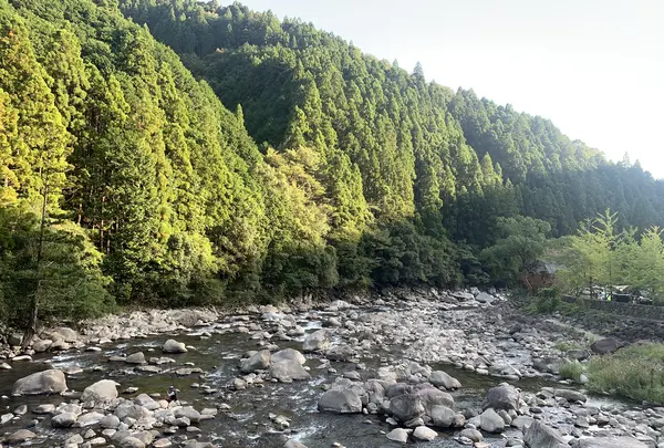 安田川アユおどる清流キャンプ場の写真・動画_image_478853