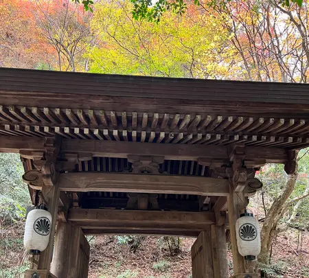 鞍馬寺の写真・動画_image_478913