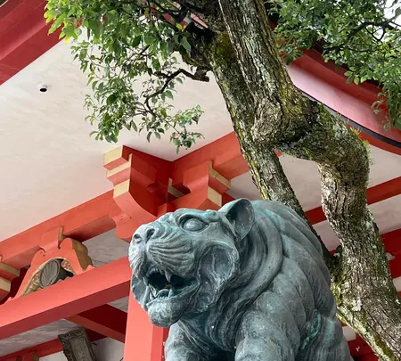 鞍馬寺 本堂の写真・動画_image_478916