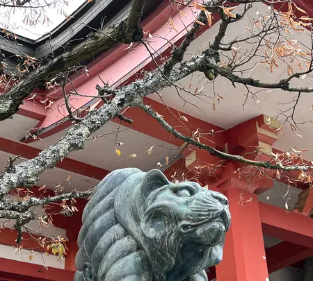 鞍馬寺 本堂の写真・動画_image_478918