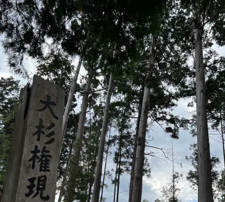 大杉権現社の写真・動画_image_478923