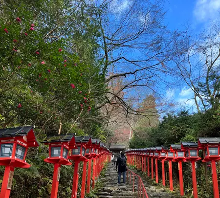 貴船神社の写真・動画_image_478929