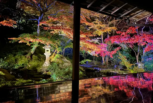 瑠璃光院の写真・動画_image_478948