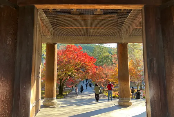 南禅寺の写真・動画_image_479027