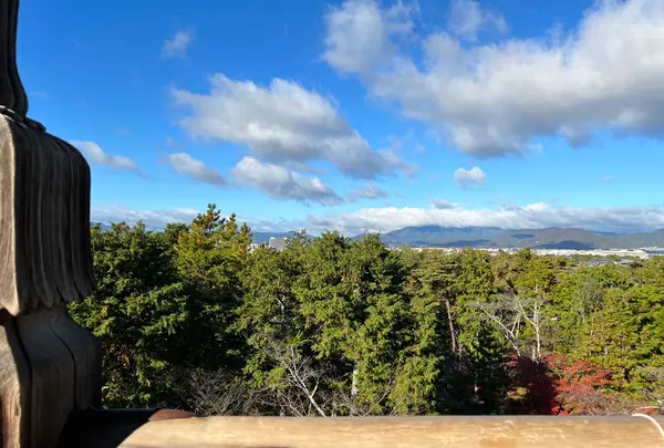 南禅寺の写真・動画_image_479028