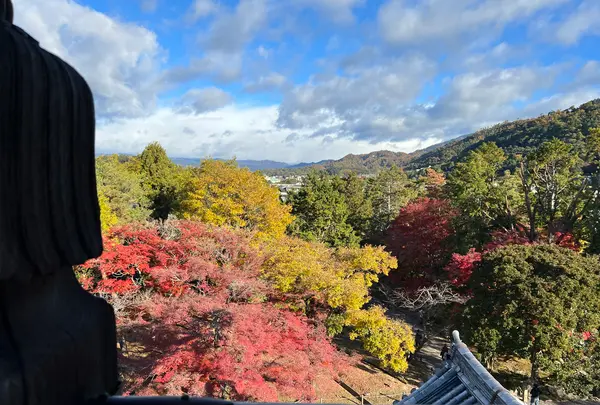 南禅寺の写真・動画_image_479029