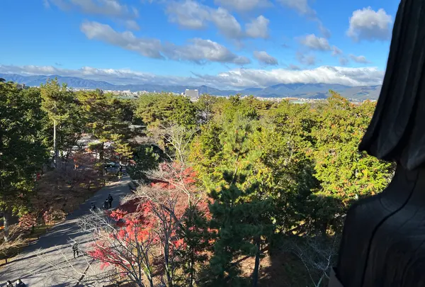 南禅寺の写真・動画_image_479030