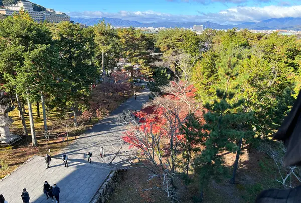 南禅寺の写真・動画_image_479031