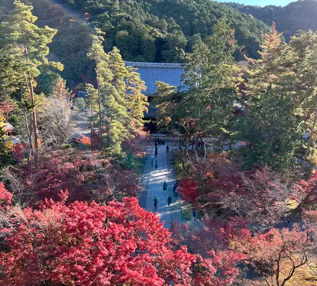 南禅寺の写真・動画_image_479032