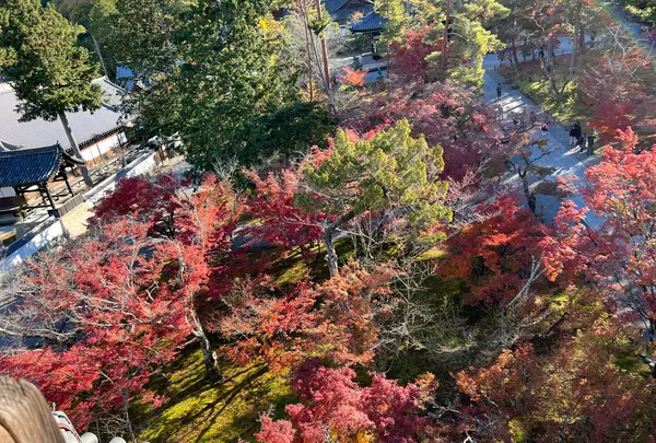 南禅寺の写真・動画_image_479033