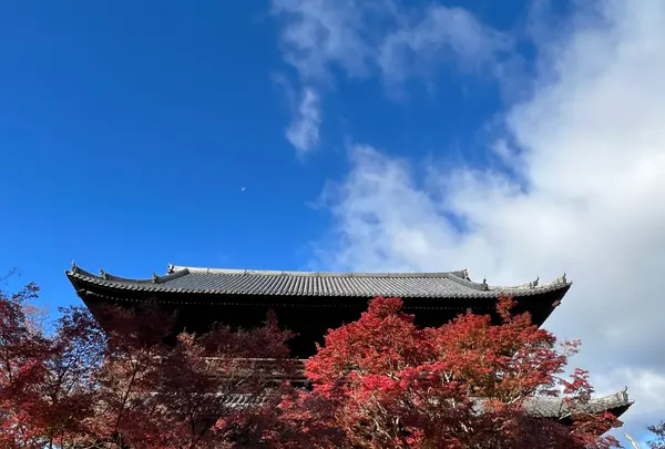 南禅寺の写真・動画_image_479034