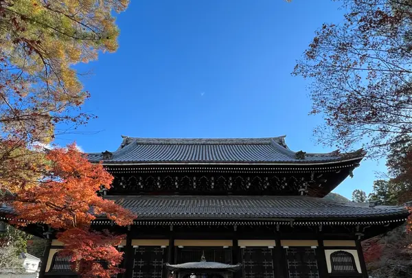 南禅寺の写真・動画_image_479035