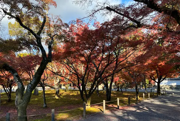 南禅寺の写真・動画_image_479037