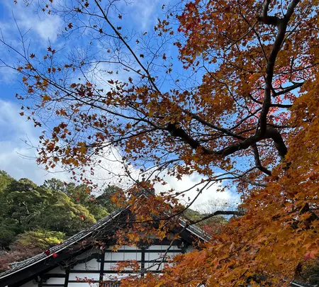 南禅寺の写真・動画_image_479038