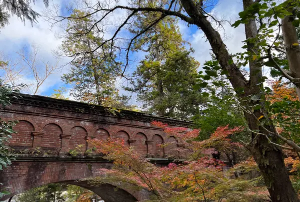 水路閣の写真・動画_image_479040