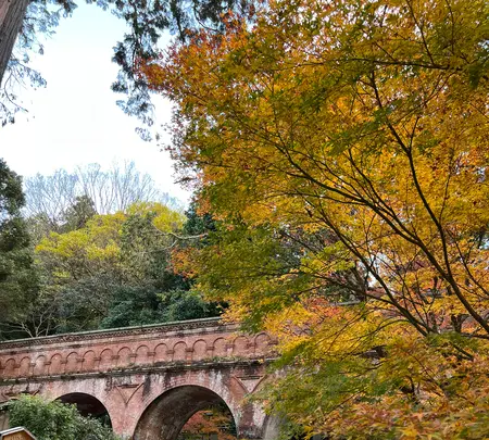 水路閣の写真・動画_image_479041