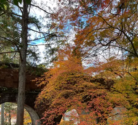 水路閣の写真・動画_image_479043