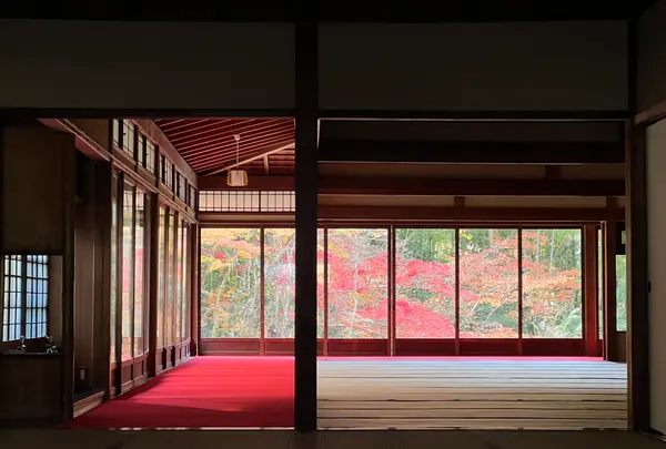 天授庵の写真・動画_image_479044