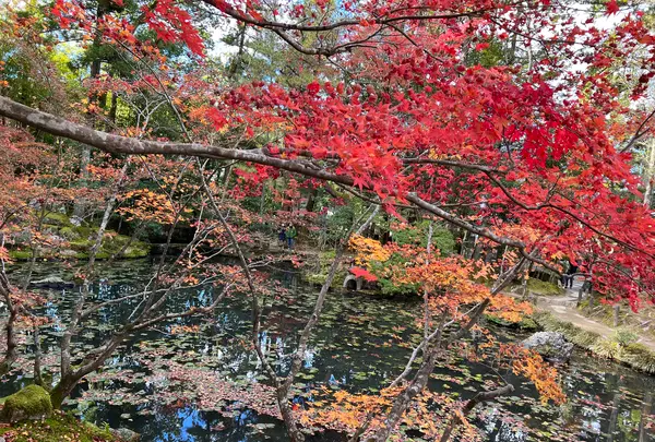 天授庵の写真・動画_image_479054