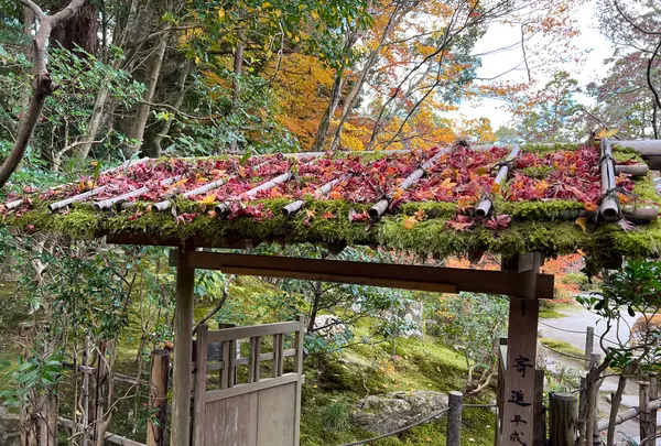 天授庵の写真・動画_image_479056