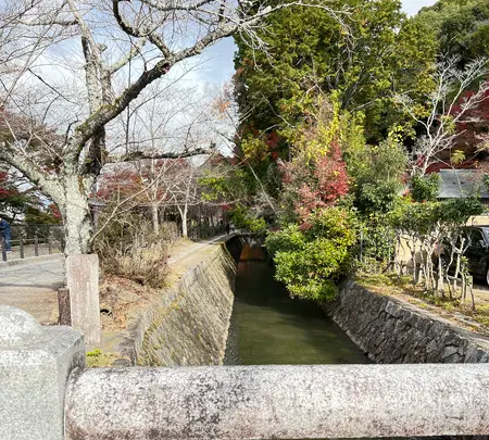 哲学の道の写真・動画_image_479061