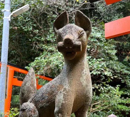 大豊神社の写真・動画_image_479069