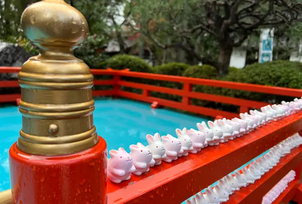 岡崎神社の写真・動画_image_479081