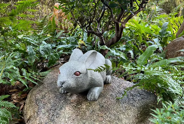 岡崎神社の写真・動画_image_479087