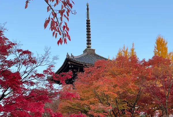 真如堂（真正極楽寺）の写真・動画_image_479093