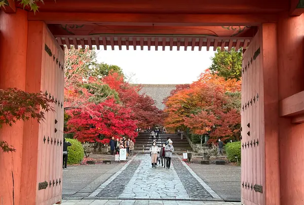 真如堂（真正極楽寺）の写真・動画_image_479094