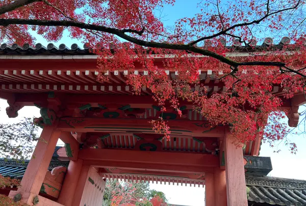 真如堂（真正極楽寺）の写真・動画_image_479095