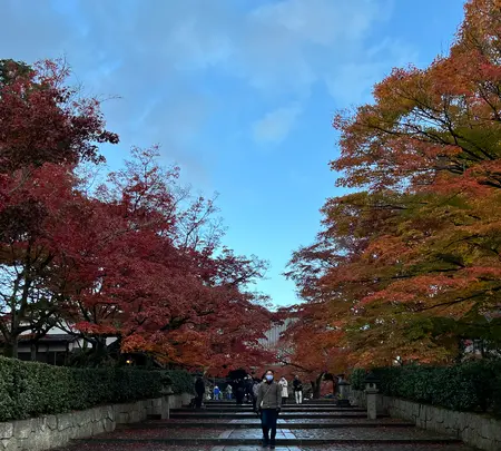 真如堂（真正極楽寺）の写真・動画_image_479097
