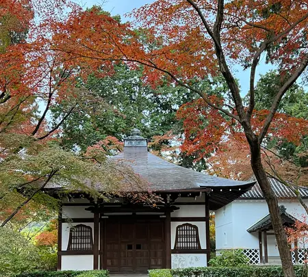 真如堂（真正極楽寺）の写真・動画_image_479098