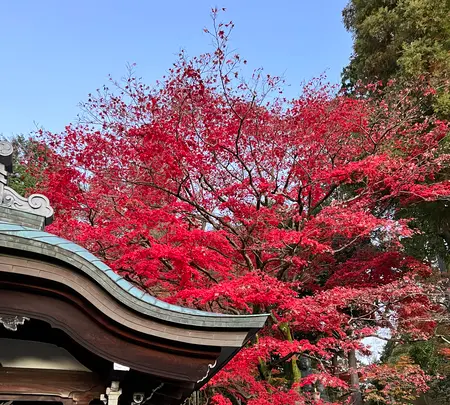 栄摂院の写真・動画_image_479105