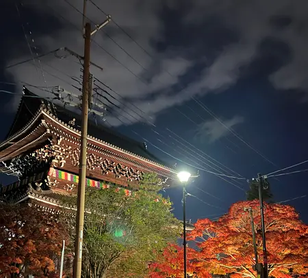 金戒光明寺の写真・動画_image_479115