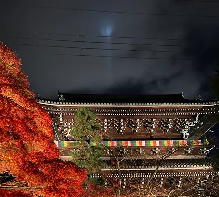 金戒光明寺の写真・動画_image_479118