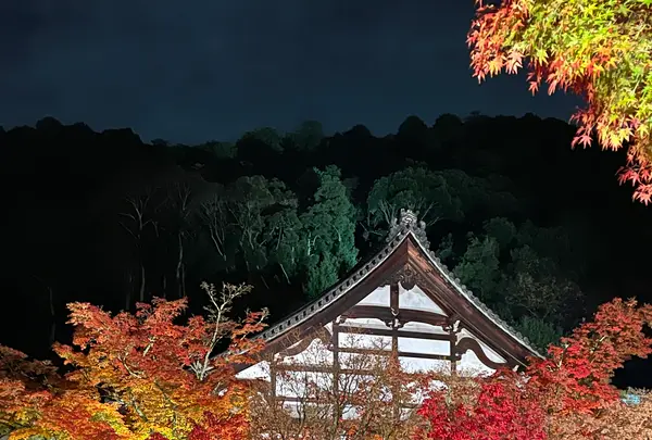 永観堂（禅林寺）の写真・動画_image_479122