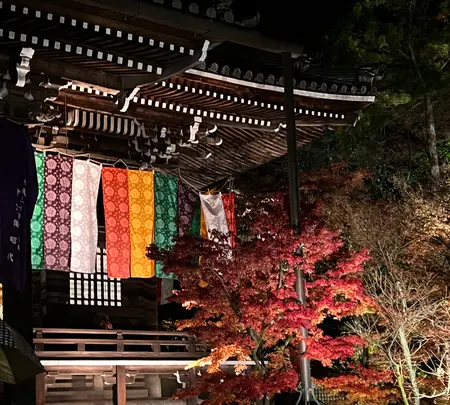 永観堂（禅林寺）の写真・動画_image_479123