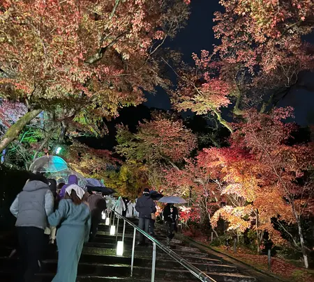 永観堂（禅林寺）の写真・動画_image_479125
