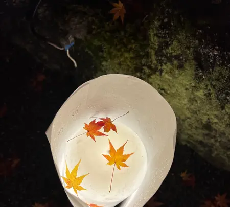 永観堂（禅林寺）の写真・動画_image_479126