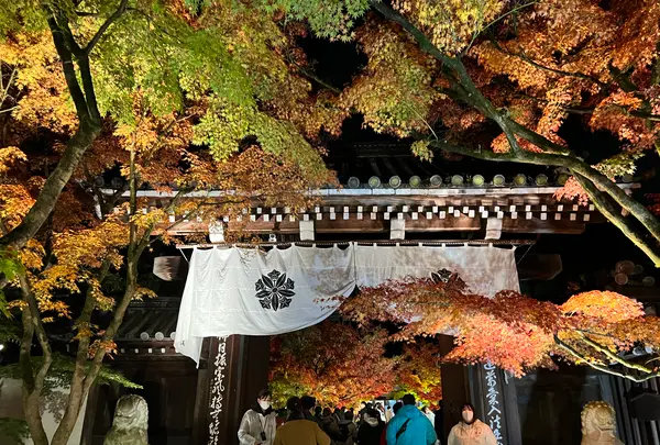 永観堂（禅林寺）の写真・動画_image_479131