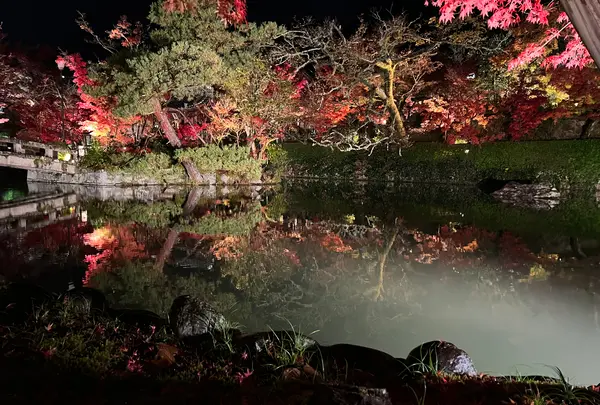 永観堂（禅林寺）の写真・動画_image_479132