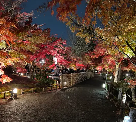 永観堂（禅林寺）の写真・動画_image_479134