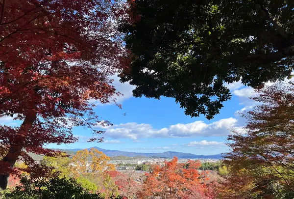 常寂光寺の写真・動画_image_479168