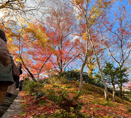 常寂光寺の写真・動画_image_479170
