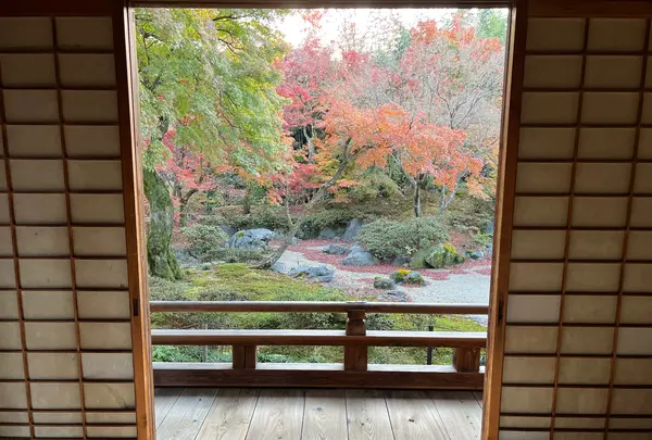 宝筐院の写真・動画_image_479195